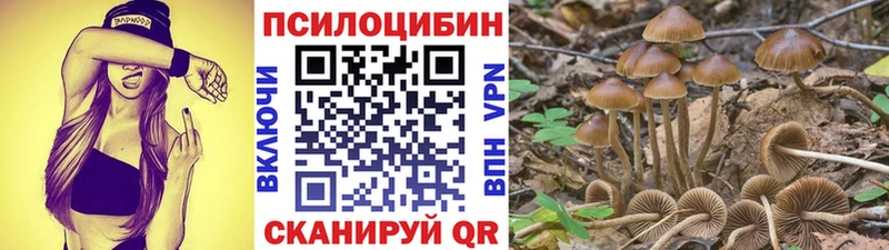 дарнет шоп  Слюдянка  Псилоцибиновые грибы GOLDEN TEACHER 